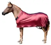 New! Sleazy Sleepwear SMALL MINI HORSE SHEET 30-34 Inches 13 SOLID COLORS!