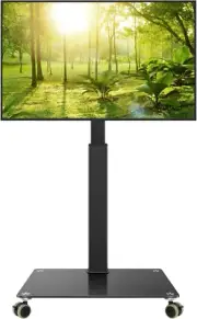Black Mobile TV Stand with Wheels for 27-65”LED LCD OLED Flat Curved Screen Outd