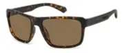 Occhiali da sole POLAROID polarizzati PLD2158/S 58-17 HGC SP Matte Havana Brown