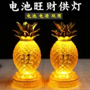 A Pair LED Wealth God Lamp Buddhism Temple Pineapple Lamp Worship Buddha Lamp