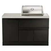 Crossray Mini Kitchen with 2 Burner Gas BBQ