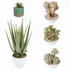 5 Types Potted Artificial Aloe / Lotus / Succulent Home Decor Fake Green Plant