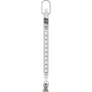 Pesola Light-Line Spring Scale 1000g