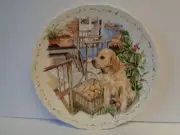 Royal Albert Golden Labrador Plate Man's Best Friend Collection Made in England