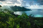 Ravensburger - Hawaiian Viewpoint Puzzle 5000pc