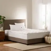 Simply Clean 2 In. Medium Standard down Alternative Twin Mattress Topper