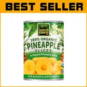 Premium Organic Pineapple Slices in Own Juice - 15oz, Healthy Snack Pack of 6