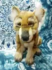 RARE Hansa International Portraits of Nature Golden Wolf Pup Plush NWT
