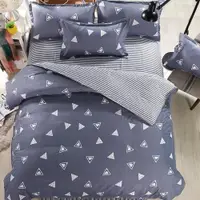 在飛比找ETMall東森購物網優惠-Student bed sheets set quilt d