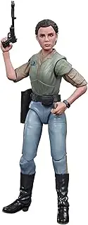 STAR WARS - The Black Series - 6” Princess Leia Organa (Endor) STAR WARS - : Return of The Jedi - Collectible Action Figure and Toys for Kids - Boys and Girls - E9363 - Ages 4+