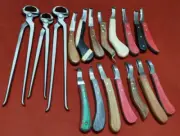 farrier tools kit hoof nipper 15" 14" 12" Hoof knives Bloom Loop 18pcs Kit set