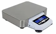 Detecto DP-30000 Digital Precision Balance Scale, 30,000g x 0.1g