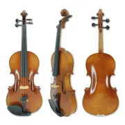 Master 4 String Acoustic Violin Flame Maple Ebony Fittings With Case,Bow,String