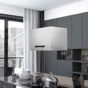 NNEVL Hanging Island Range Hood Touch Sensor LCD 55 cm Stainless Steel