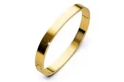 Serena Solid Flat Hinged Bangle in Gold