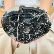 3.74LB TOP Natural Dragon Septarian geode Quartz Crystal egg mineral Specimen