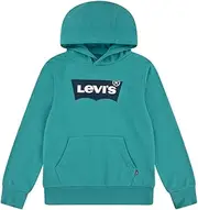 [Levi's] Boy's PO-Pull Over Hoody Sweatshirt, Porcelain Green, 10-16 Years, Porcelain Green, 10-16 Jahre