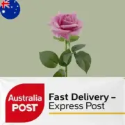 Artificial Faux Ecuador Real Touch Rose Stem - Pink Colour