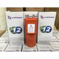 在飛比找蝦皮購物優惠-Lnb C Band Gardiner 2 接收器和 1 個