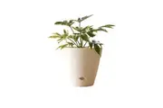 Northcote Pottery Leonard 38x34cm Self Watering Plant Pot Garden Decor White