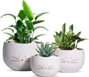 Cute Cat Flower Pot Cactus Succulent Plant Pots Ceramic Planters Set of 3 White