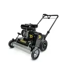 Paddock Lawn Dethatcher 22"
