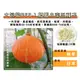 【蔬菜之家】大包裝G22-1.橙鳳小南瓜種子15顆 種子 園藝 園藝用品 園藝資材 園藝盆栽 園藝裝飾