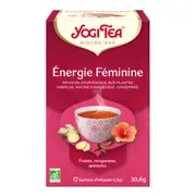 Yogi Tea Female Energy Ayurvedic Infusion Bio 17 Sachets