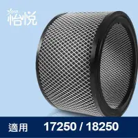 在飛比找Yahoo!奇摩拍賣優惠-【怡悅CPZ異味吸附劑】適用於Honeywell 17250