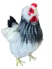 NWTs Hansa Realistic French Hen Plush Soft Toy Chicken Sold By Lincrafts UK 1993