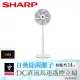 SHARP 夏普 14吋自動除菌離子DC節能ECO智能溫控立扇(附遙控器) PJ-P14GD