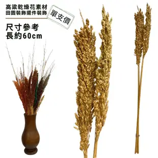 ⭐永生花⭐ 手工花 乾燥花 天然素材 裝飾品 乾燥高粱 紅高粱乾燥花 乾燥花材 麥穗 稻穗 乾燥花材 麥穗 大麥 花圈材