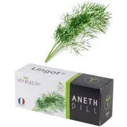 Véritable® Seed Lingot® Dill