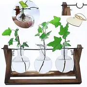 laffeya Terrarium Planter, Desktop Glass Planter with 3 Vase, Hydroponic Plants Cuttings Holder for New Year Home Decoration (3 Bulb vase C, Brown)