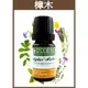 【歐丹尼】樟木(白樟木)Camphor white精油10ml