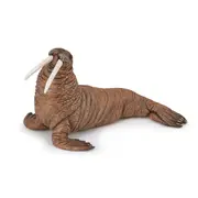 Papo France Walrus Collectible Figurine Kids/Children Animal Figure Play Toy