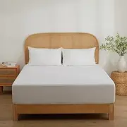 Dreamaker Twin Pack 100% Cotton Jersey Waterproof Mattress Protector Fit up to 40cm Skirt Fitted Hypoallergenic Soft Breathable Surface Machine Washable Mattress Cover Pack of 2 - King Bed