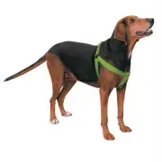 Casual Canine Two-Step Harness 15-25 x 5/8 in Blue