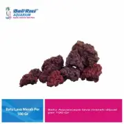 Red Lava Stone For Aquascape And Pond Media Filter 1 Kg
