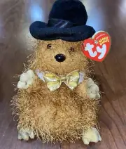 TY Beanie Baby - PUNXSUTAWNEY PHIL 2005 the Groundhog (6.5 inch)