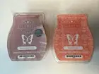 SCENTSY 2 Wax Bars Summer Soleil Rosewood & Freesia New