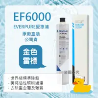 在飛比找蝦皮購物優惠-【愛惠浦】 ef6000 ef-6000 全流量 強效 碳纖