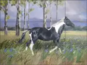 Horse Tile Backsplash Hughbanks Equine Art Ceramic Mural DHA080