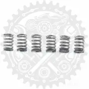 New EBC Clutch Spring Kit (6) For Suzuki SV 1000 K3 2003-2005