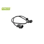 RAE Camshaft Position Sensor - SC106
