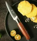 Paring Knife 73 Layers Japanese Damascus Steel Wood Handle Fruit Peeling Slicing