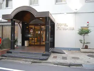 Evergreen Hotel Shinjuku Luxe