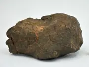 240.4g Winonaite Primitive Achondrite Meteorite - TOP METEORITE