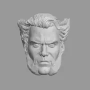 Cavillrine Deadpool 3 Wolverine custom head for Marvel & other action figures