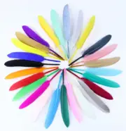 50pcs Goose feathers 10-15cm Millinery DIY Art Craft Cake Millinery
